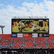 Picture 007